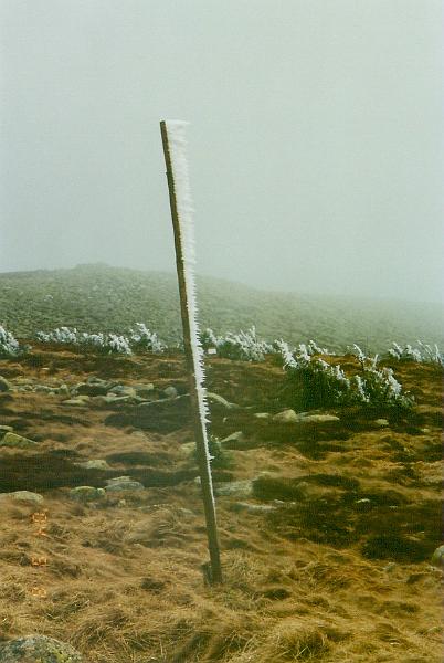 w16.jpg